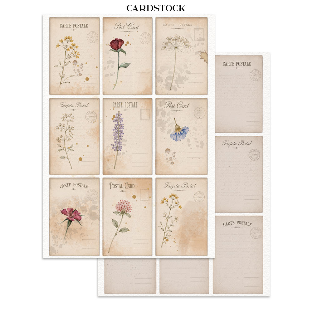 Stamperia- A5 - Junk Journal- Focus Points - Flowers and Poems