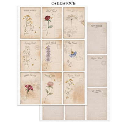 Stamperia- A5 - Junk Journal- Focus Points - Flowers and Poems