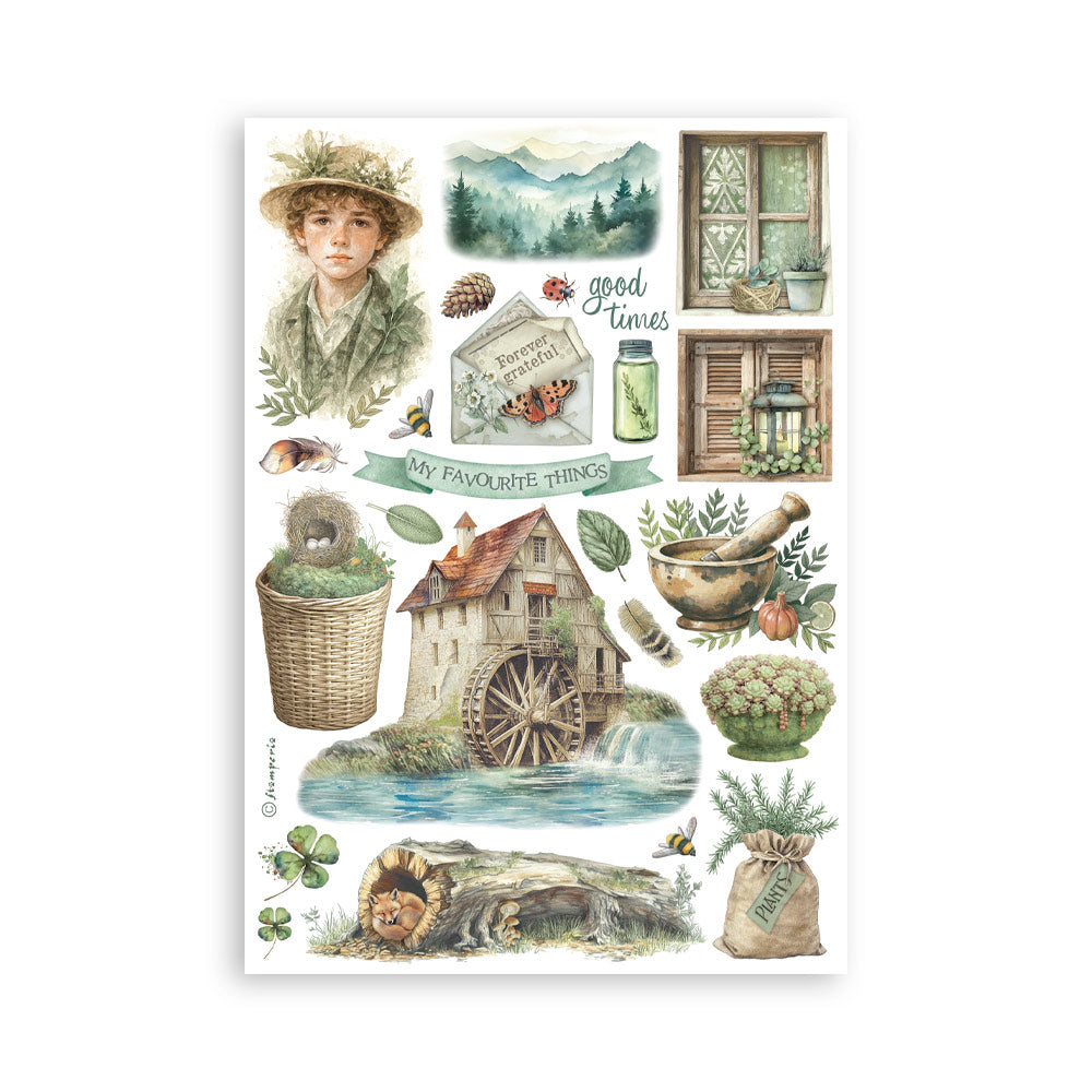 Stamperia - Washi Pad 8 Sheets A5 - Herbarium Silvae