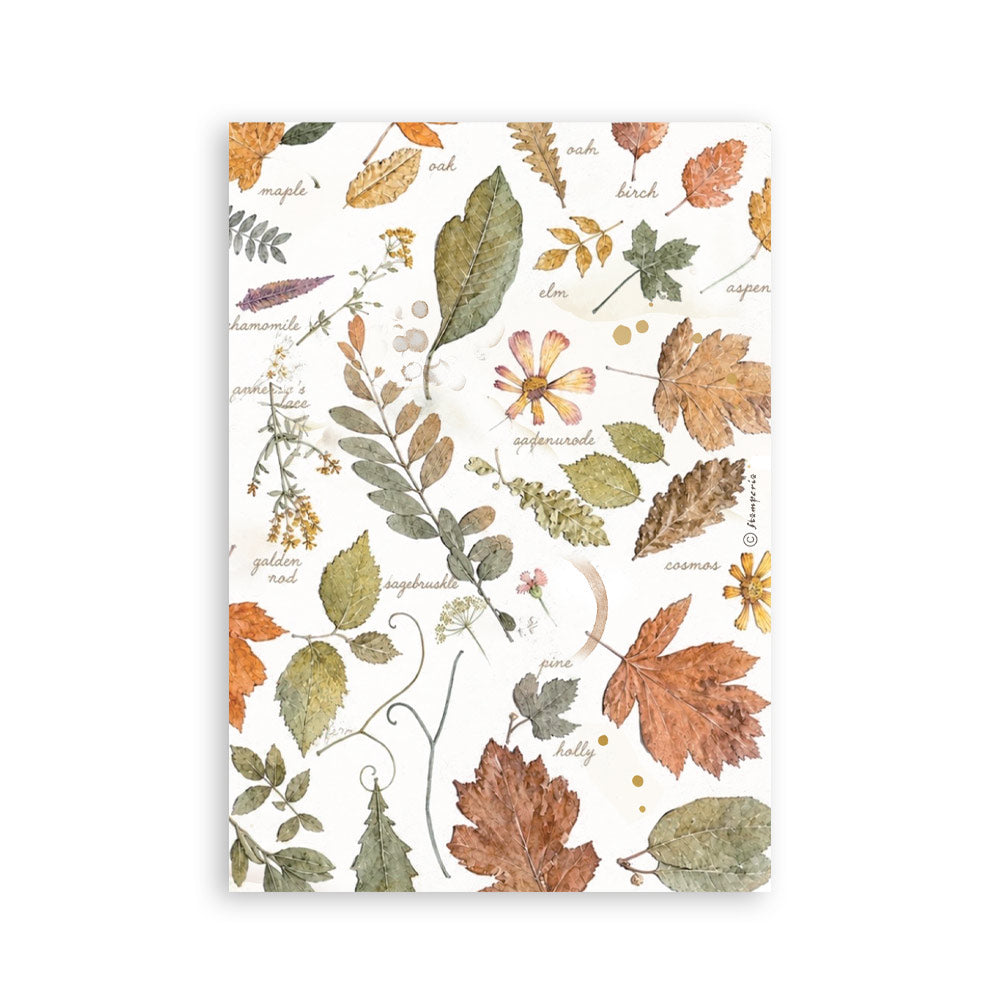 Stamperia - Washi Pad 8 Sheets A5 - Flowers and Poems