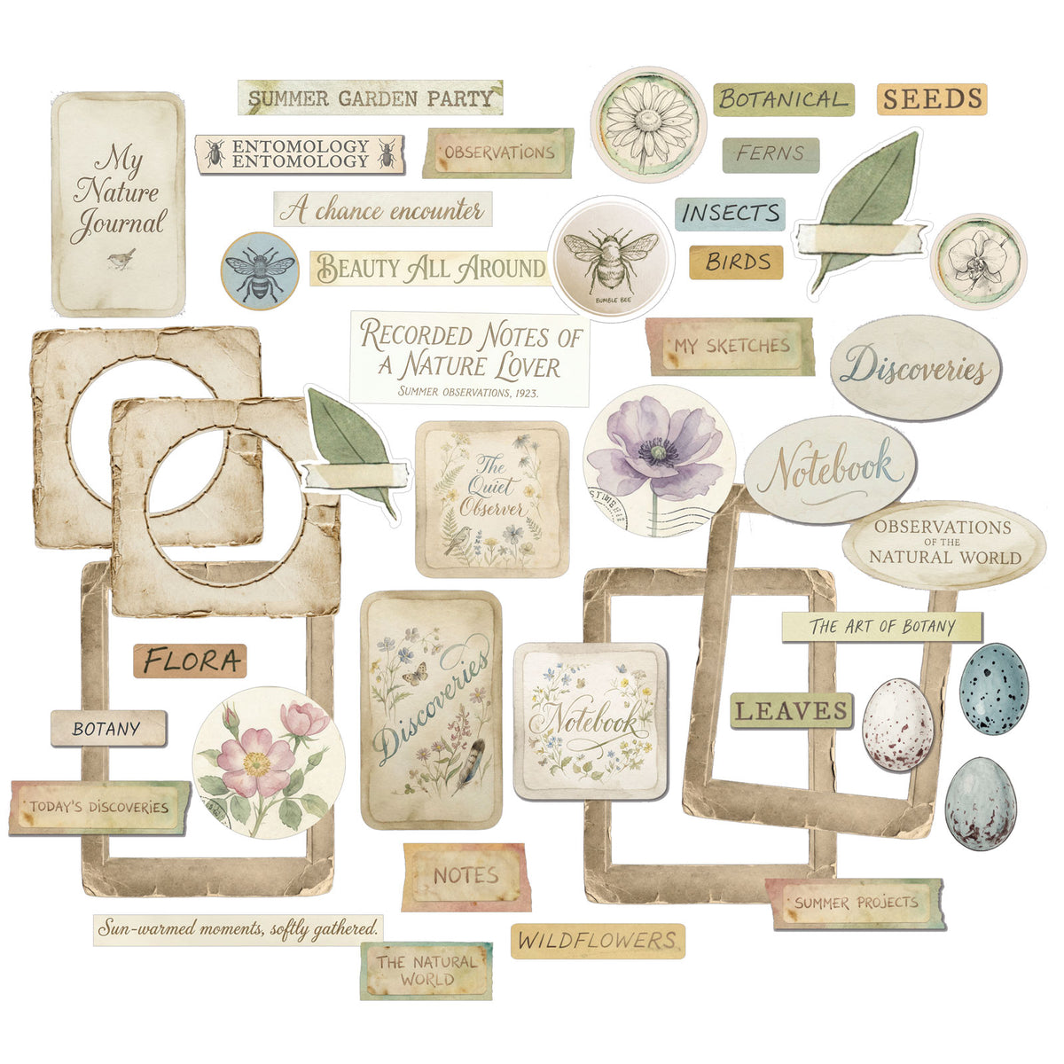 49 and Market - Chipboard Set - 45 Pieces - The Quiet Observer