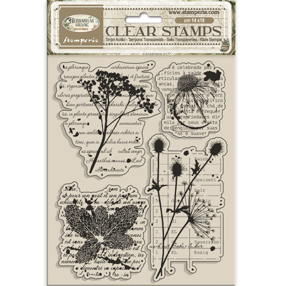 Stamperia - Acrylic Clear Stamp 14x18cm -Herbarium Silvae botanic