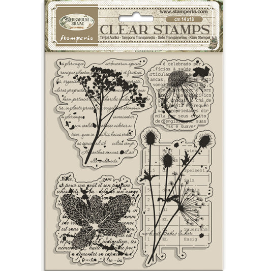 Stamperia - Acrylic Clear Stamp 14x18cm -Herbarium Silvae botanic
