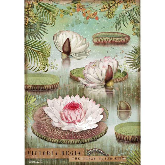 STAMPERIA - RICE PAPER A4 - AMAZONIA WATER LILY