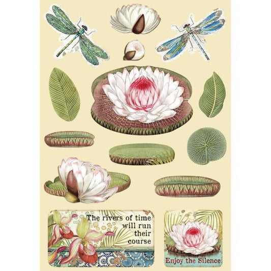 Stamperia- Chipboard - Coloured Wooden Shapes A5 - Amazonia Water Lily